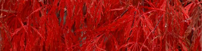 Пляж на Пхукете